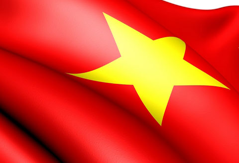 vietnam-insights-flag